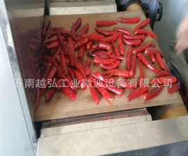 湖南辣椒，辣片灭菌机