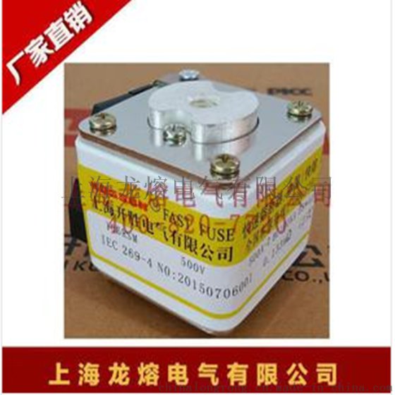 熔断器专业制造商RS7T-2 PK AC1000/250A