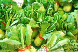 东莞市农副产品南城区新鲜蔬菜粮油配送