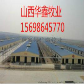 陕西养牛场 定襄县华鑫牧业 厂家直销