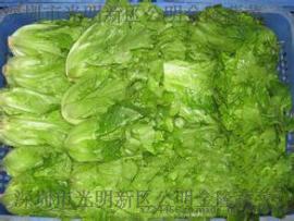东莞市员工食堂承包石排镇新鲜蔬菜配送