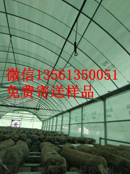 湖南长沙大棚滴灌大棚微喷