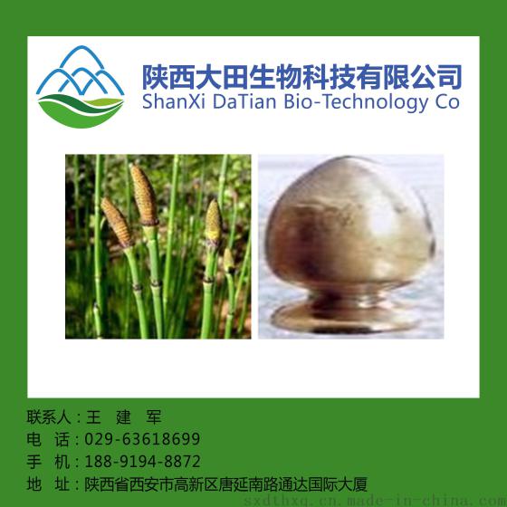 西安现货木贼草提取物10：1  现货包邮