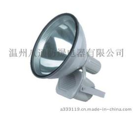 ZT6900防水防尘防震投光灯
