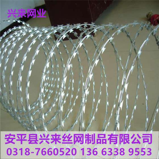 园林刺绳网，果园刺丝护栏网，刺绳厂家