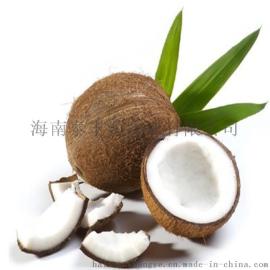 厂家生产纯天然椰浆粉 100%无添加 果肉 供食品厂 奶茶店专用