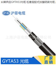 GYTA53光缆  加强凯装