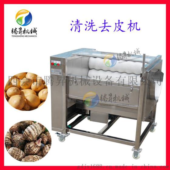 专业定制大中小型瓜果清洗去皮机 毛棍去皮机 全自动猪头清洗机