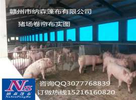 纳森面对养殖场定制牛场卷帘布 猪场卷帘布 牛场窗帘布 猪场窗帘布