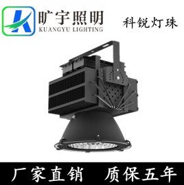 LED塔吊灯500W质保五年