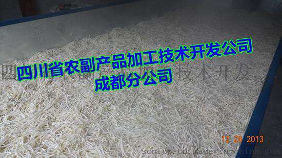 大头菜烘干机，芥菜头烘干机，襄阳大头菜烘干机