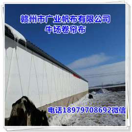 山东畜牧养殖场窗帘布-牛场卷帘布-猪场卷帘布-帆布篷布批发厂家