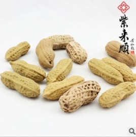 紫砂摆件