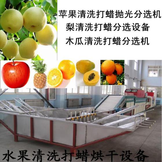 全自动苹果清洗打蜡选果设备
