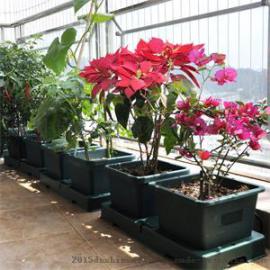 南宁都市农夫自动灌溉系统蓄排水种植盆_屋顶绿化项目工程全国招商