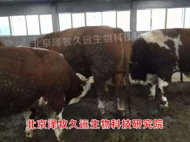 肉牛核心料配方  肉牛核心饲料配制技术