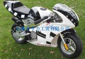【十年厂家特供】HL-PC530 49CC 手拉启动 迷你小跑车/量大优惠