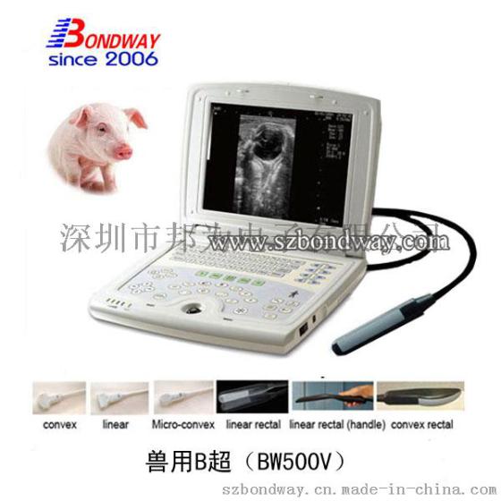 兽用B超检测仪 兽用B超声诊断仪 马 牛 猫 狗 用超声波诊断仪