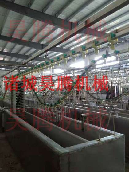 大白鹅屠宰流水线小毛处理池