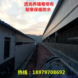 畜牧场养殖场卷帘布生产厂家 定做山东防水猪场卷帘布 加厚防寒牛场卷帘布