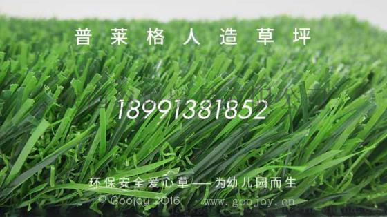 人造草坪价格_普莱格幼儿园人造草坪厂家