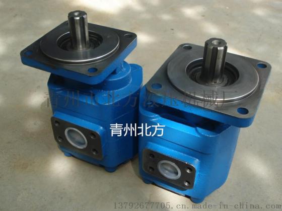 厦工XG953装载机齿轮泵JHP2100