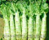 深圳市龙岗区坪地坪山蔬菜粮油冻肉蔬菜配送