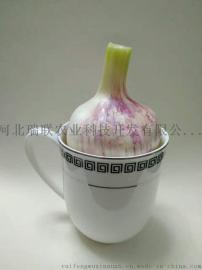 大蒜 干蒜  大蒜种子  瑞峰原种