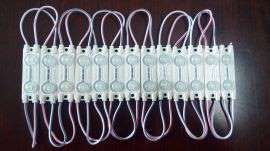 2灯LED5050注塑模组 LED防水模组 LED贴片模组