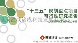 吉林项目可行性研究报告