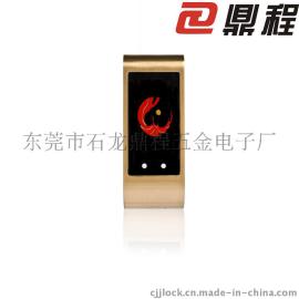 电子桑拿锁|更衣柜锁