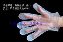 一次性PE薄膜手套多少钱