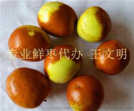 最新山东鲜枣产地价格
