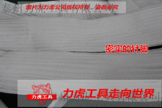 力虎 起重吊带 吊装绳【5吨4米】