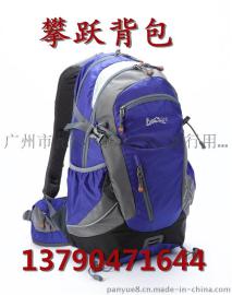旅行包企业，旅行背包供应公司，中型背包厂家，背包男士