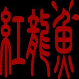 【红龙鱼】增氧机安装与维修