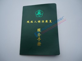 残疾人精准康复服务手册