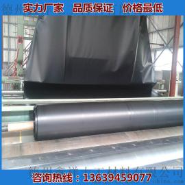 防渗二布一膜土工膜 污水处理厂专用土工膜