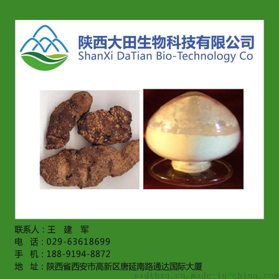 生地提取物10:1 清热生津 凉后 止血