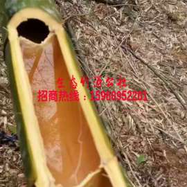 竹筒酒厂家_竹筒酒厂家供应商_竹筒酒生产厂家批发市场