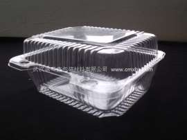 一次性透明连体蔬菜 食品盒
