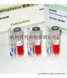 干热灭菌生物指示剂H6302K