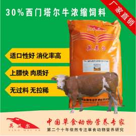 西门塔尔育肥牛如何喂养 北京英美尔30%西门塔尔牛浓缩饲料