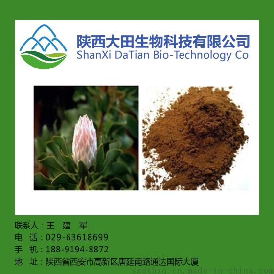 厂家直供菩提花提取物10:1