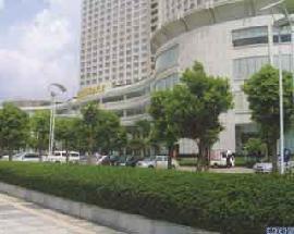 绿化养护