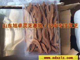 灵芝切片价格无公害灵芝切片厂家批发报价
