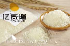 食用级批发肉制品用/糖果用明胶