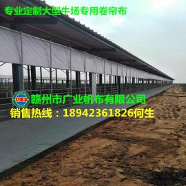 河南驻马店大型牛场专用卷帘布、优质防寒加厚猪场透光卷帘布批发