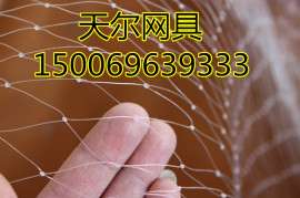 浙江果园防护网果实成熟季节防鸟网15006963933