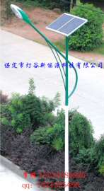 石家庄灯谷DGT-30W太阳能路灯，照明灯厂家